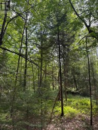 1791 ALSACE ROAD Nipissing Ontario photo 10