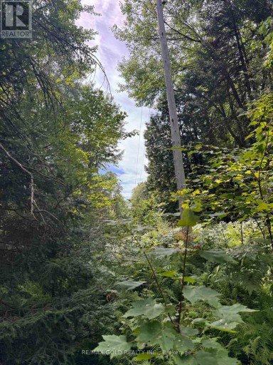 1791 ALSACE ROAD, Nipissing, Ontario, P0H1Z0