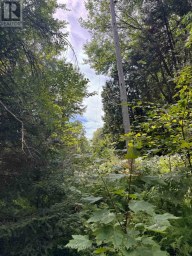 1791 ALSACE ROAD Nipissing Ontario photo 11