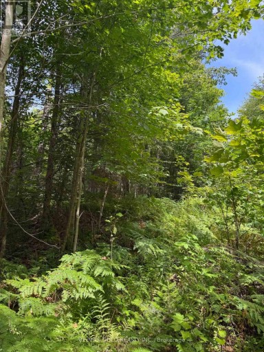 1791 ALSACE ROAD, Nipissing, Ontario, P0H1Z0