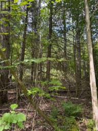 1791 ALSACE ROAD Nipissing Ontario photo 13