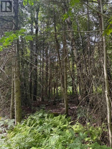 1791 ALSACE ROAD, Nipissing, Ontario, P0H1Z0