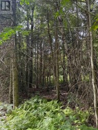 1791 ALSACE ROAD Nipissing Ontario photo 14