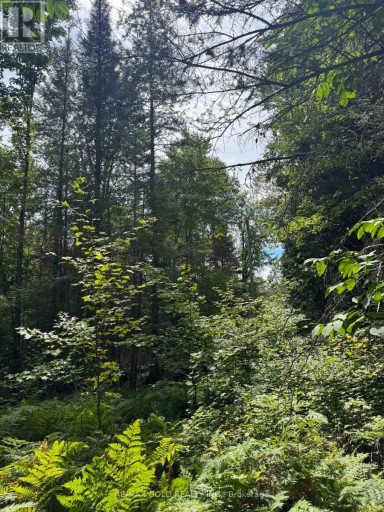 1791 ALSACE ROAD, Nipissing, Ontario, P0H1Z0