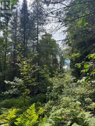 1791 ALSACE ROAD Nipissing Ontario photo 15
