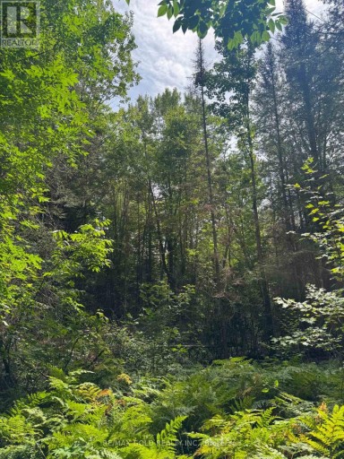 1791 ALSACE ROAD, Nipissing, Ontario, P0H1Z0