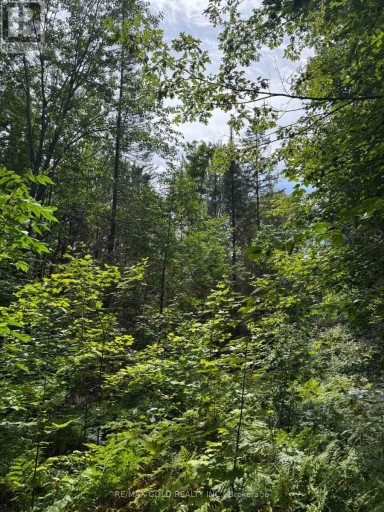 1791 ALSACE ROAD, Nipissing, Ontario, P0H1Z0