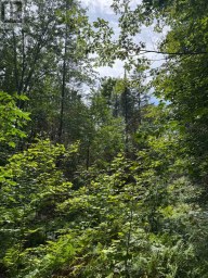 1791 ALSACE ROAD Nipissing Ontario photo 17