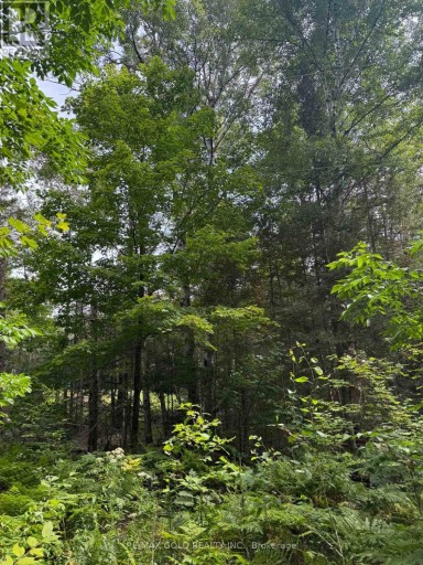 1791 ALSACE ROAD, Nipissing, Ontario, P0H1Z0