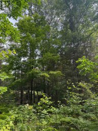 1791 ALSACE ROAD Nipissing Ontario photo 18