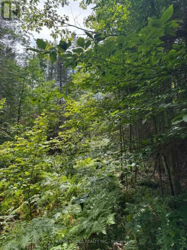 1791 ALSACE ROAD, Nipissing, Ontario, P0H1Z0
