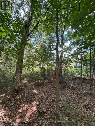 1791 ALSACE ROAD, Nipissing, Ontario, P0H1Z0
