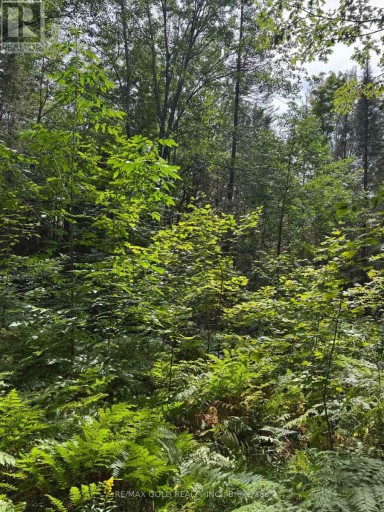 1791 ALSACE ROAD, Nipissing, Ontario, P0H1Z0