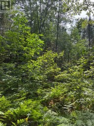 1791 ALSACE ROAD Nipissing Ontario photo 20