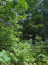 1791 ALSACE ROAD Nipissing Ontario photo 21