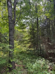 1791 ALSACE ROAD Nipissing Ontario photo 23