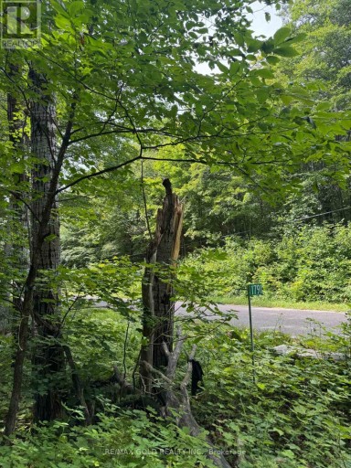 1791 ALSACE ROAD, Nipissing, Ontario, P0H1Z0