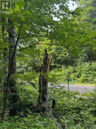 1791 ALSACE ROAD Nipissing Ontario photo 24