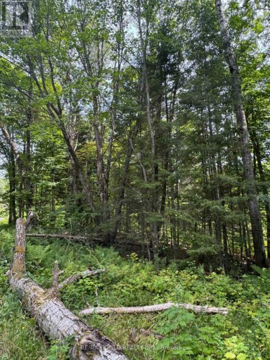 1791 ALSACE ROAD, Nipissing, Ontario, P0H1Z0