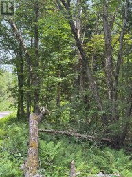 1791 ALSACE ROAD Nipissing Ontario photo 26