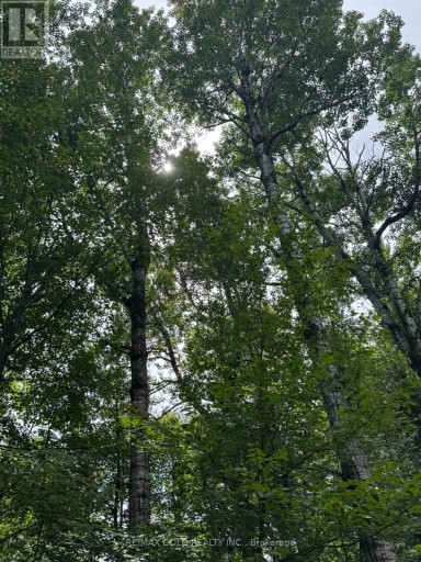 1791 ALSACE ROAD, Nipissing, Ontario, P0H1Z0