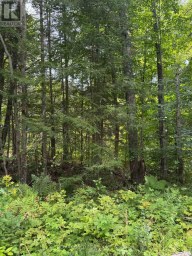 1791 ALSACE ROAD Nipissing Ontario photo 29