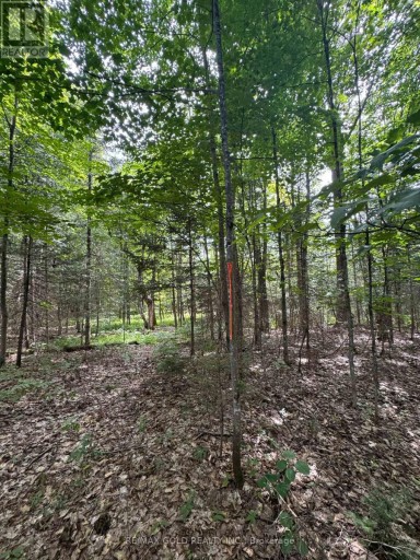 1791 ALSACE ROAD, Nipissing, Ontario, P0H1Z0