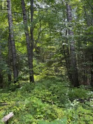 1791 ALSACE ROAD Nipissing Ontario photo 30