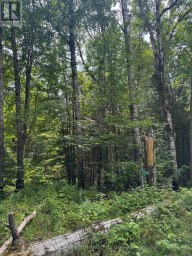 1791 ALSACE ROAD Nipissing Ontario photo 31