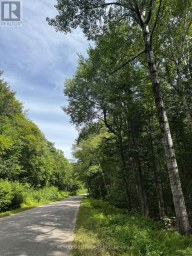 1791 ALSACE ROAD Nipissing Ontario photo 32