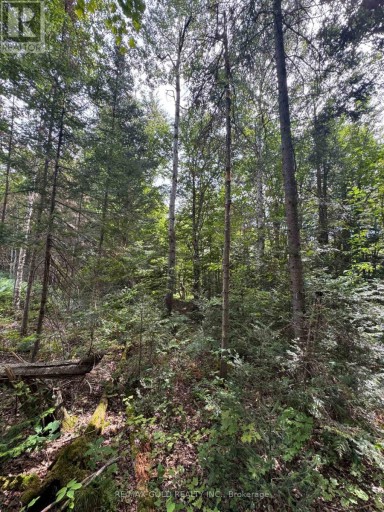 1791 ALSACE ROAD, Nipissing, Ontario, P0H1Z0