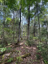 1791 ALSACE ROAD Nipissing Ontario photo 5