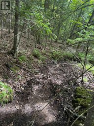 1791 ALSACE ROAD Nipissing Ontario photo 6