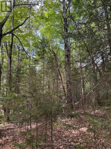 1791 ALSACE ROAD, Nipissing, Ontario, P0H1Z0
