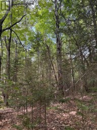 1791 ALSACE ROAD Nipissing Ontario photo 7