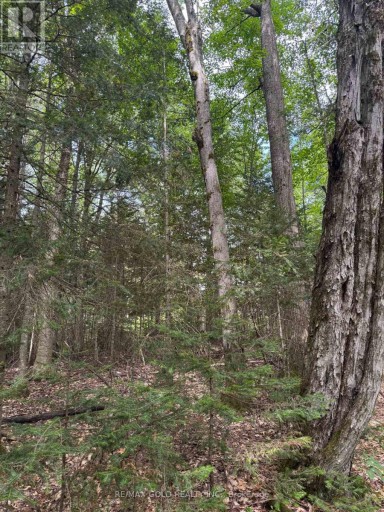 1791 ALSACE ROAD, Nipissing, Ontario, P0H1Z0