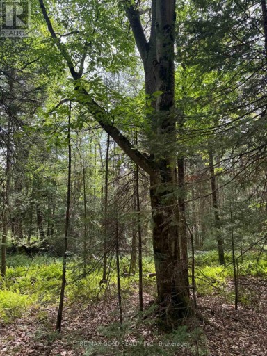 1791 ALSACE ROAD, Nipissing, Ontario, P0H1Z0