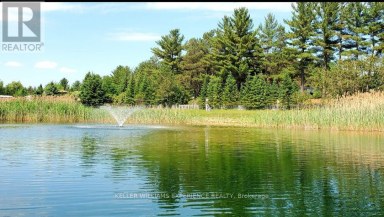 65 - 5216 COUNTY 90 ROAD Springwater Ontario photo 10