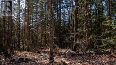LOT 1 GREENWOOD WAY Whitestone (Hagerman) Ontario photo 5