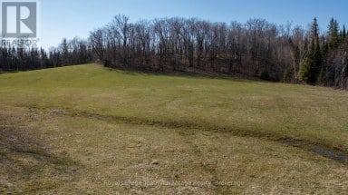 LOT 5 GREENWOOD WAY Whitestone (Hagerman) Ontario photo 5