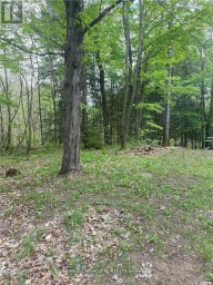 3460 HARBURN ROAD Dysart et al (Harburn) Ontario photo 1