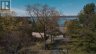 251 HIGH SHORE ROAD, Marmora And Lake (marmora Ward), Ontario, K0K2M0 (ID X13126926)