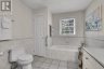 251 HIGH SHORE ROAD, Marmora And Lake (marmora Ward), Ontario, K0K2M0 (ID X13126926)