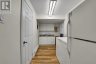 251 HIGH SHORE ROAD, Marmora And Lake (marmora Ward), Ontario, K0K2M0 (ID X13126926)