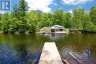 1019 OLD BALA ROAD, Muskoka Lakes (wood (muskoka Lakes)), Ontario, P0C1A0 (ID X13127506)