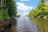 1019 OLD BALA ROAD, Muskoka Lakes (wood (muskoka Lakes)), Ontario, P0C1A0 (ID X13127506)