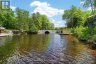 1019 OLD BALA ROAD, Muskoka Lakes (wood (muskoka Lakes)), Ontario, P0C1A0 (ID X13127506)