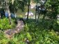 1019 OLD BALA ROAD, Muskoka Lakes (wood (muskoka Lakes)), Ontario, P0C1A0 (ID X13127506)