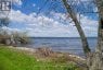9300 FRONT ROAD, Loyalist (amherst Island), Ontario, K0H2S0 (ID X13127644)