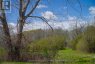 9300 FRONT ROAD, Loyalist (amherst Island), Ontario, K0H2S0 (ID X13127644)